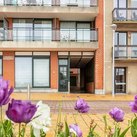 Paradis In Blankenberge